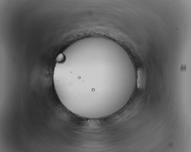 X0000103951491200809261736