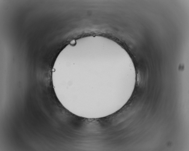 X0000103951492200809261736