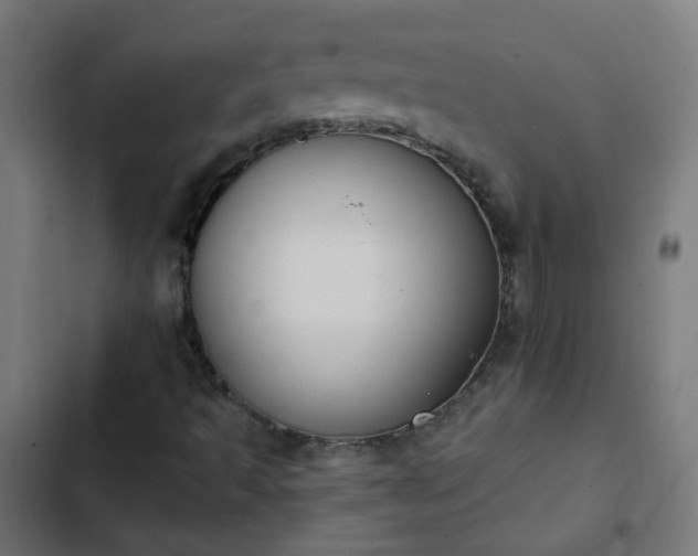 X0000103951493200809261736