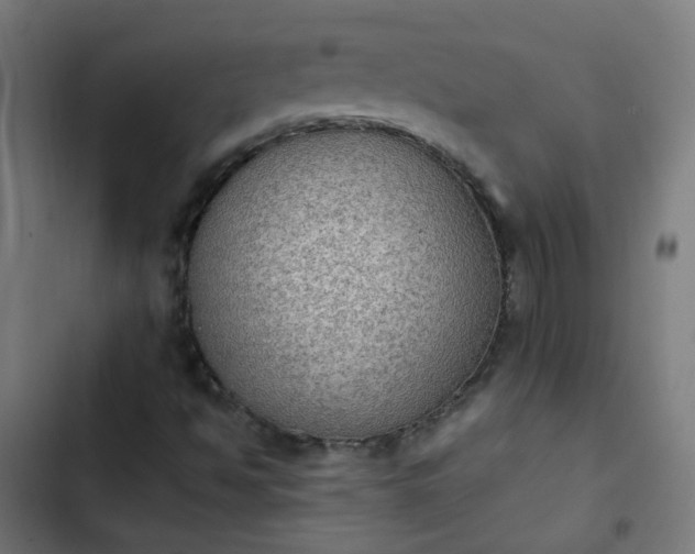 X0000103951494200809261736
