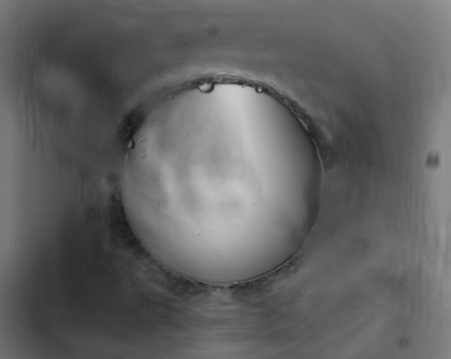 X0000103951495200809261736