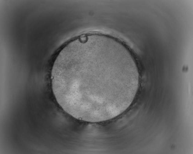 X0000103951496200809261736