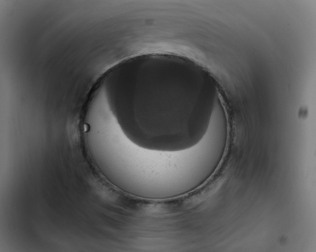 X0000103951497200809261736