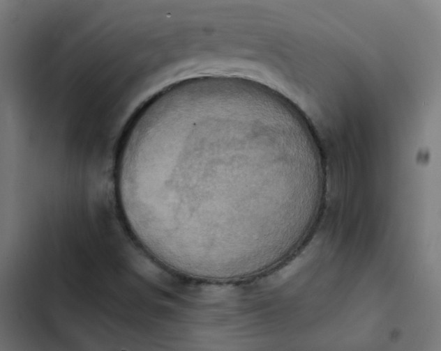 X0000103951498200809261736