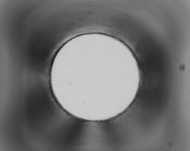 X0000103951500200809261736