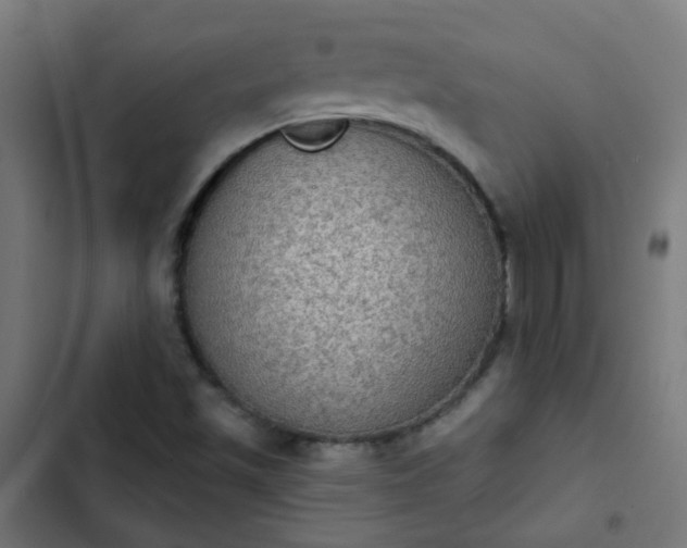 X0000103951501200809261736