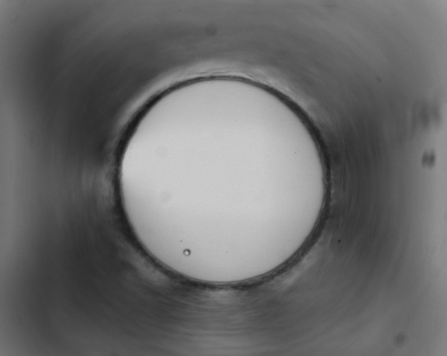 X0000103951502200809261736
