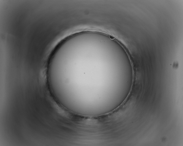 X0000103951503200809261736