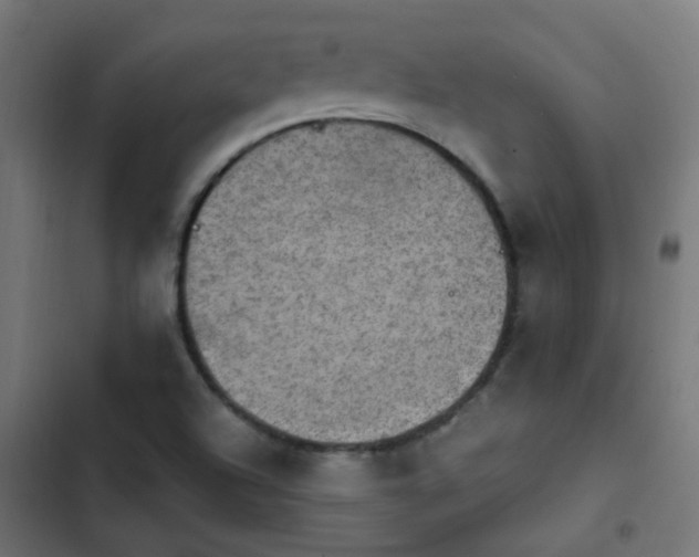 X0000103951504200809261736