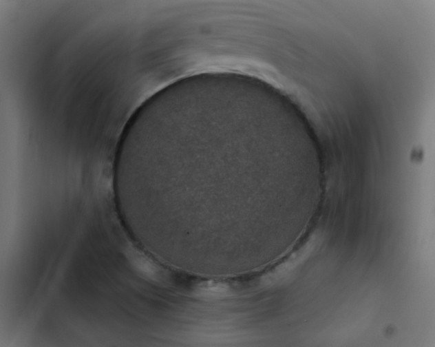 X0000103951505200809261736
