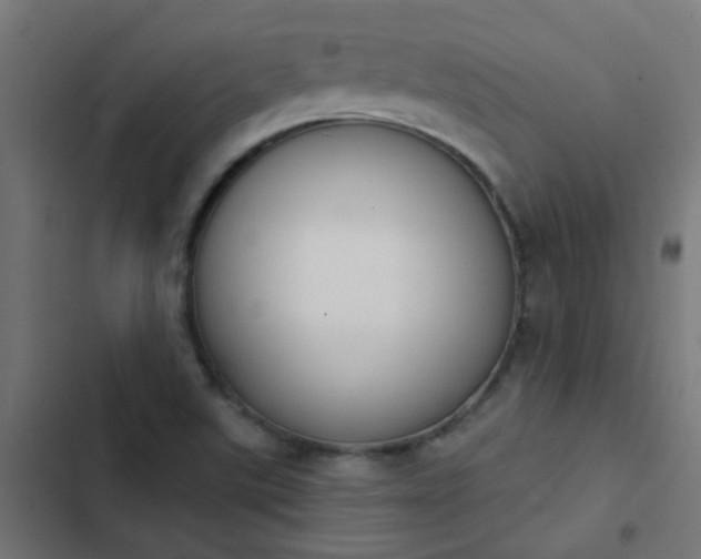 X0000103951507200809261736