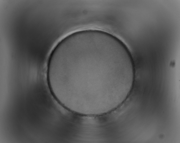 X0000103951508200809261736