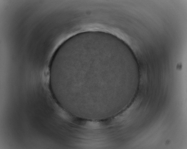 X0000103951509200809261736