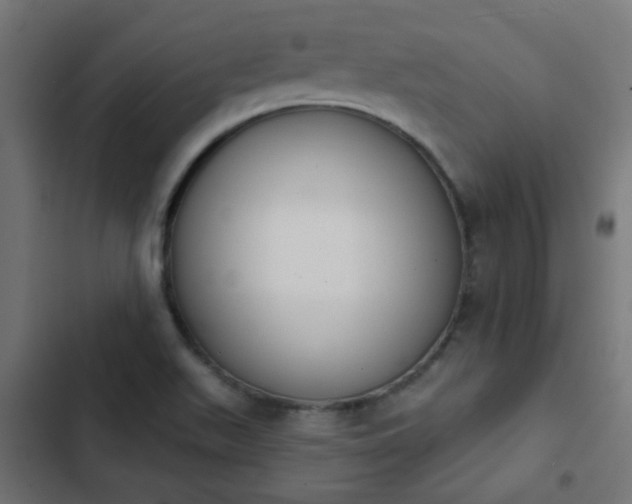 X0000103951511200809261736