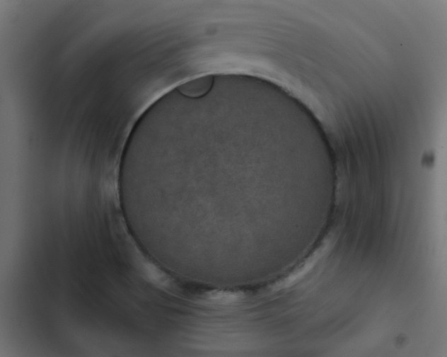 X0000103951513200809261736