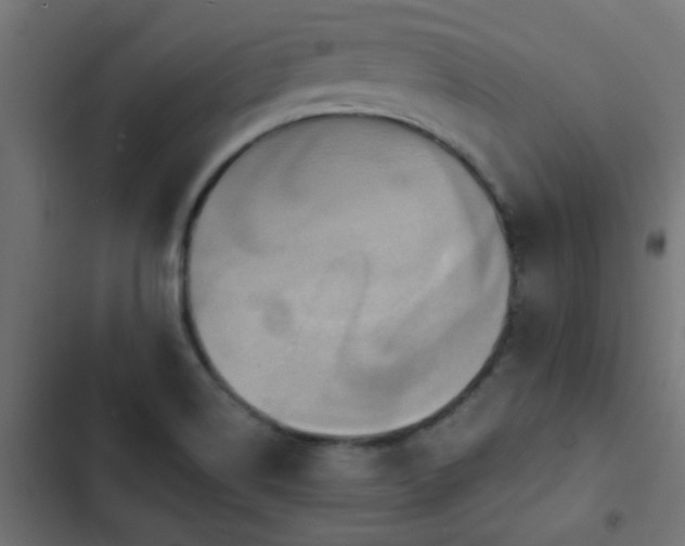 X0000103951514200809261736