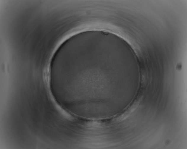 X0000103951515200809261736