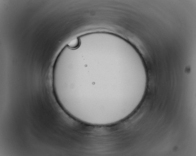 X0000103951516200809261736