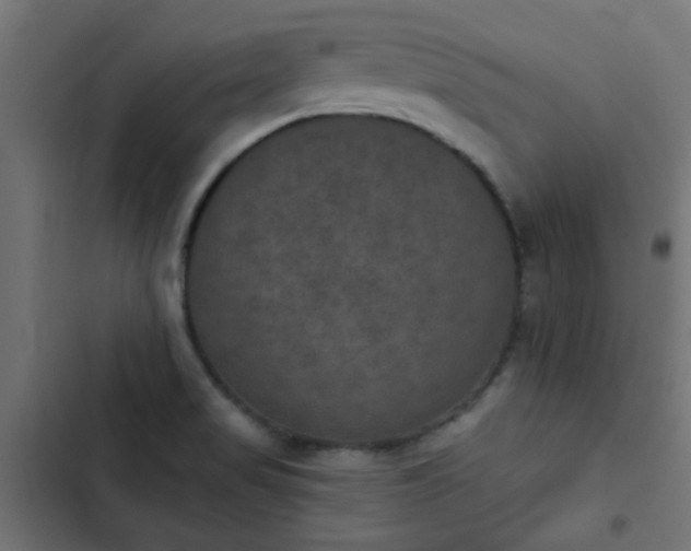 X0000103951517200809261736