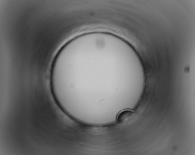 X0000103951518200809261736