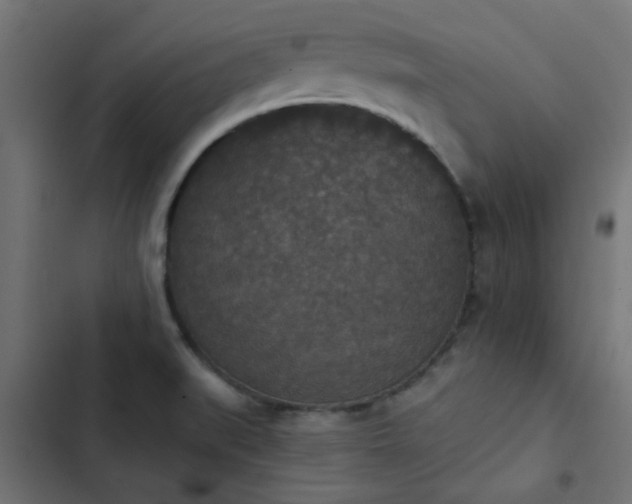 X0000103951519200809261736