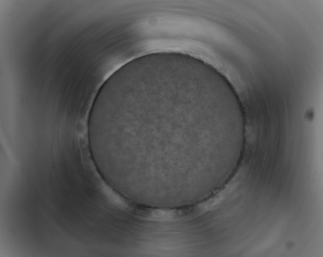X0000103951521200809261736