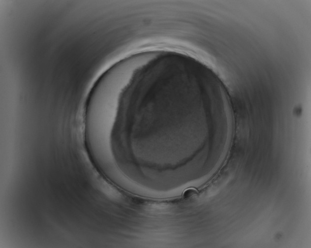 X0000103951522200809261736