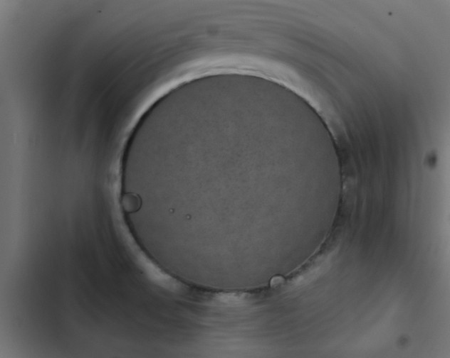 X0000103951523200809261736