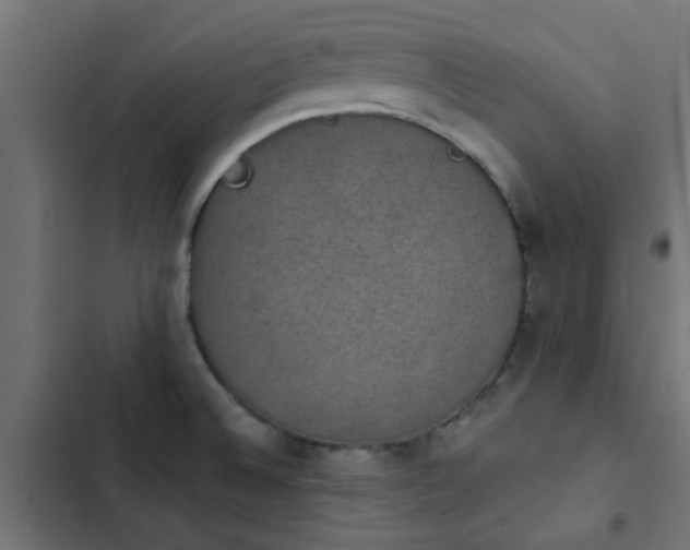 X0000103951524200809261736