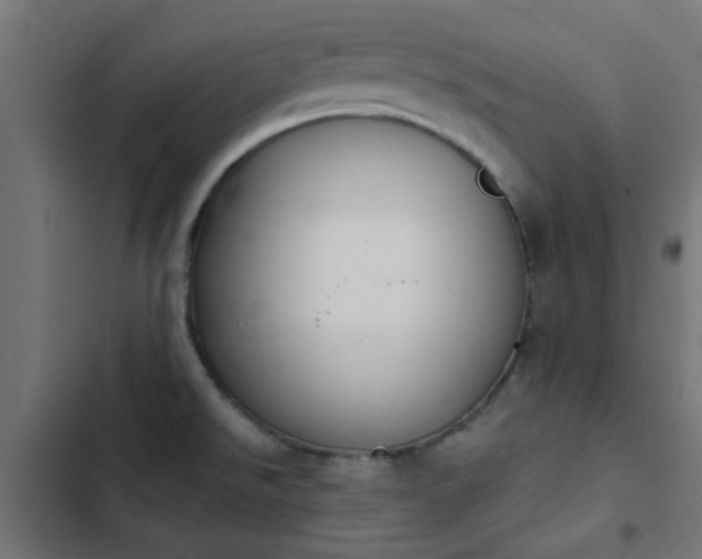 X0000103951526200809261736