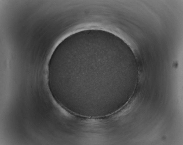 X0000103951527200809261736