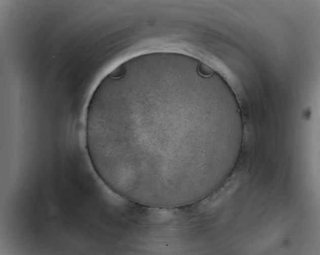X0000103951528200809261736