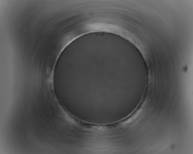 X0000103951529200809261736