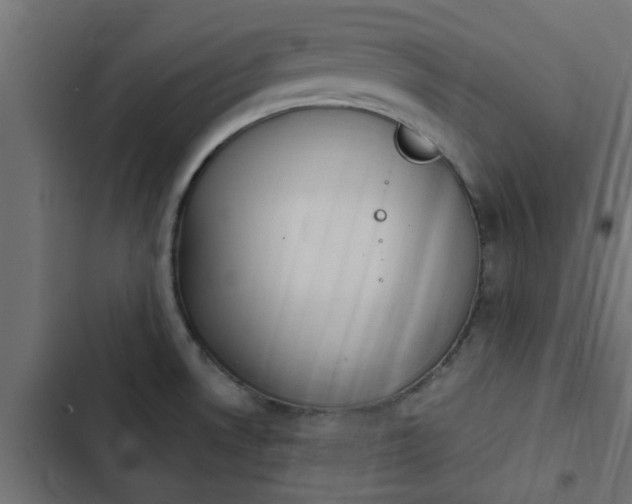 X0000103951530200809261736
