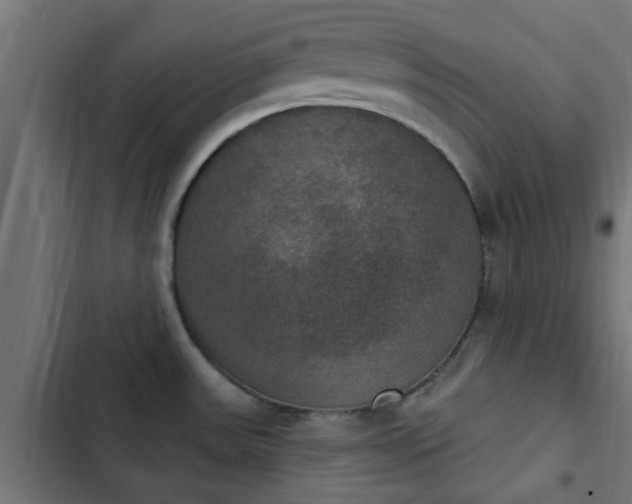 X0000103951531200809261736