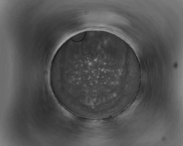 X0000103951533200809261736