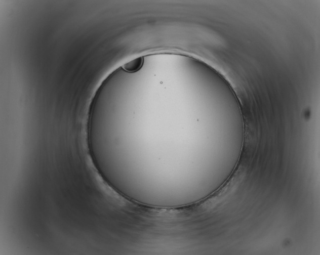 X0000103951534200809261736