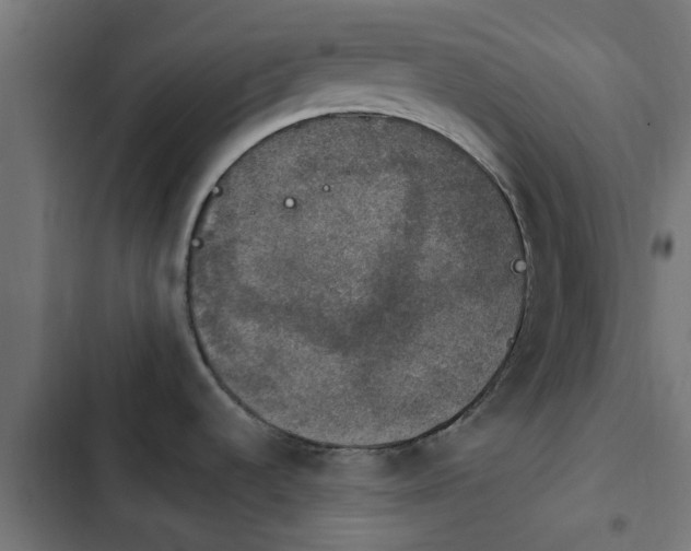 X0000103951536200809261736