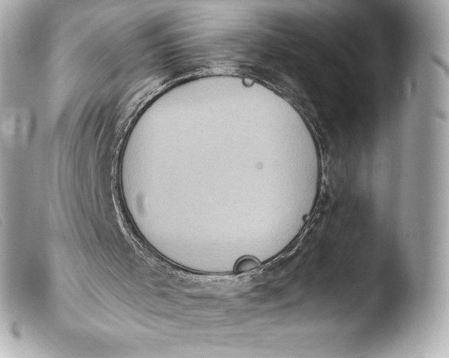 X0000103950001200810031357