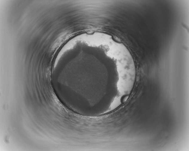 X0000103950002200810031357