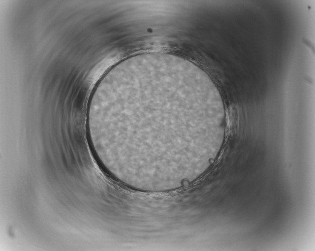 X0000103950003200810031357