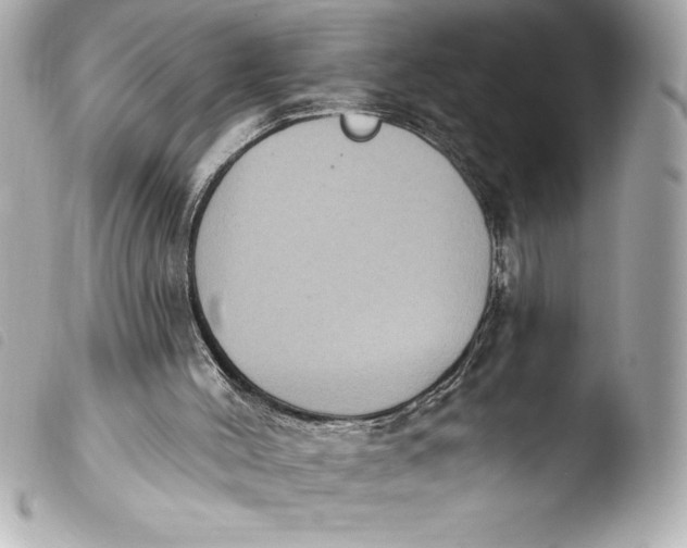 X0000103950004200810031357