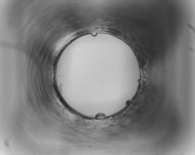 X0000103950005200810031357