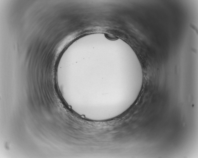 X0000103950006200810031357