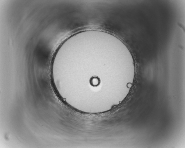 X0000103950007200810031357