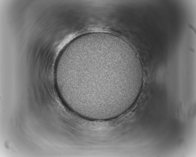 X0000103950008200810031357