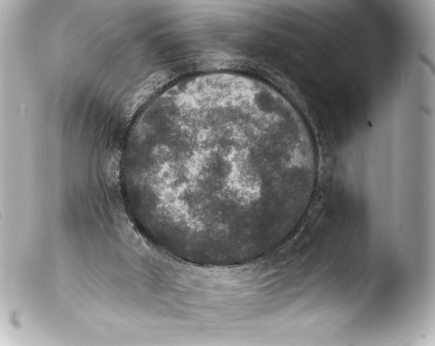 X0000103950010200810031357