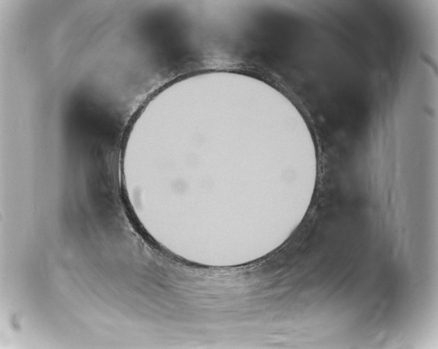 X0000103950011200810031357