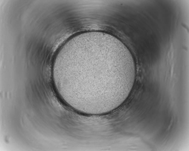 X0000103950012200810031357