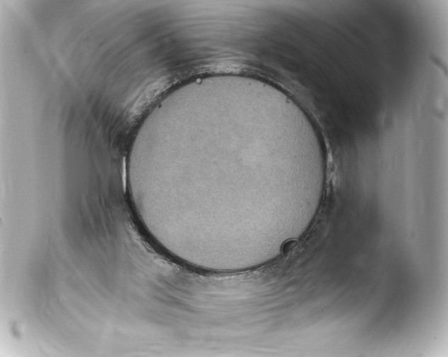 X0000103950013200810031357